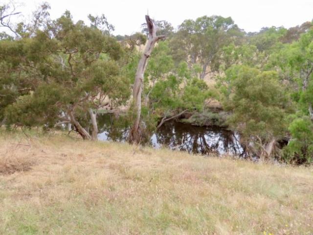 Land for rent in Balmoral, Victoria