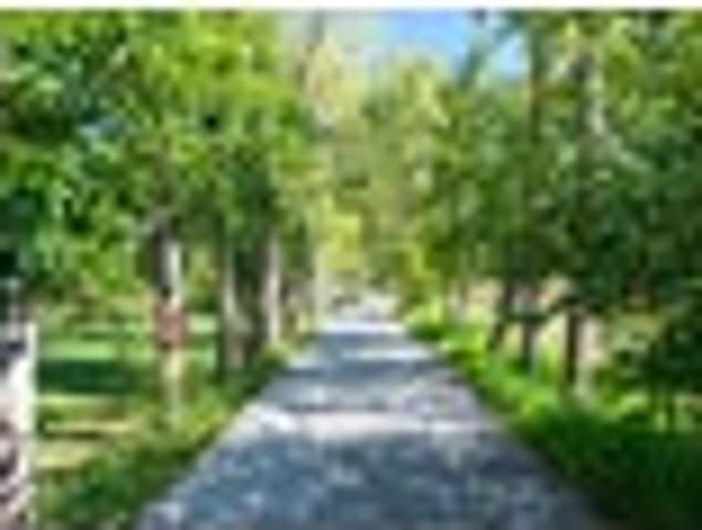 House for sale in Kawau Island
