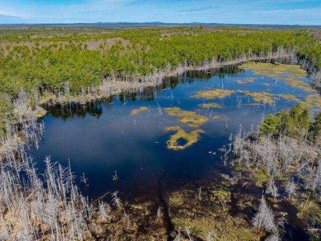 Land for sale in Bar Harbor, Maine