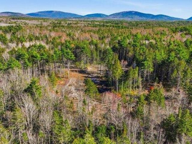 Land for sale in Town Hill, Bar Harbor