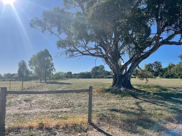 Land for sale in Barham, New South Wales
