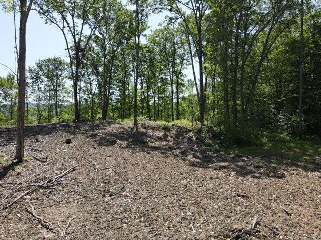 Land for sale in Barnet, Vermont
