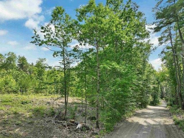 Land for sale in New Hampshire