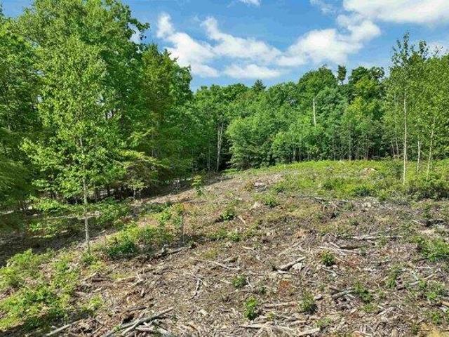 Land for sale in Barnstead, Belknap County