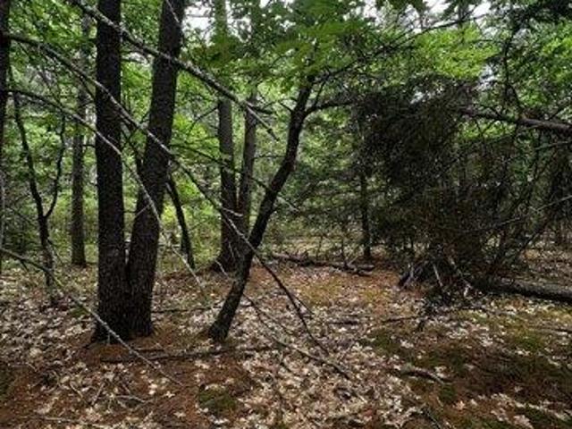 Land for sale in Barnstead, Belknap County