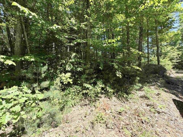 Land for sale in New Hampshire