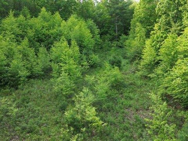 Land for sale in New Hampshire