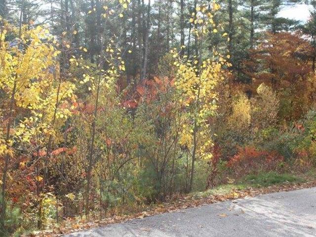 Land for sale in New Hampshire
