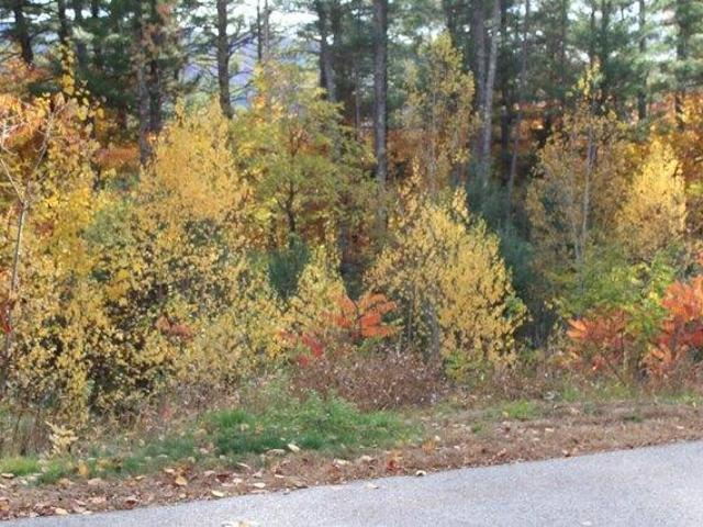 Land for sale in New Hampshire