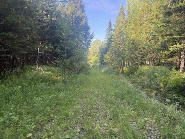 Land for sale in Barton, Vermont