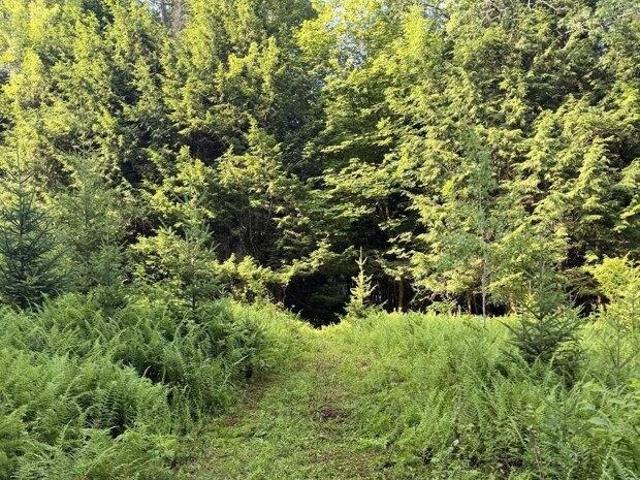 Land for sale in Barton, Vermont