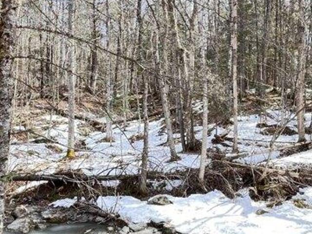 Land for sale in Barton, Vermont