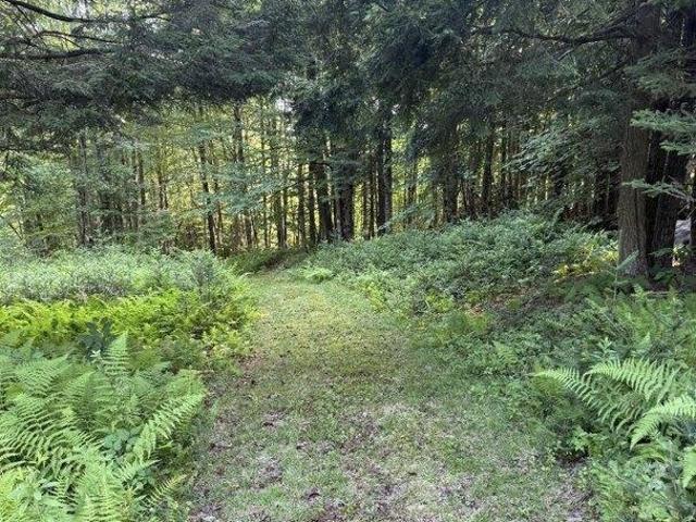 Land for sale in Barton, Orleans County