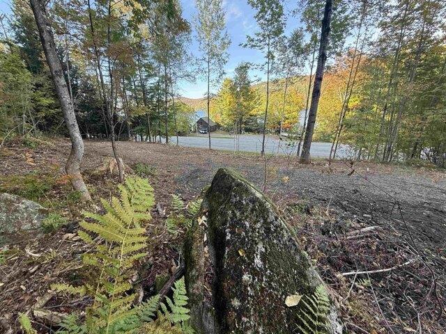 Land for sale in Barton, Orleans County