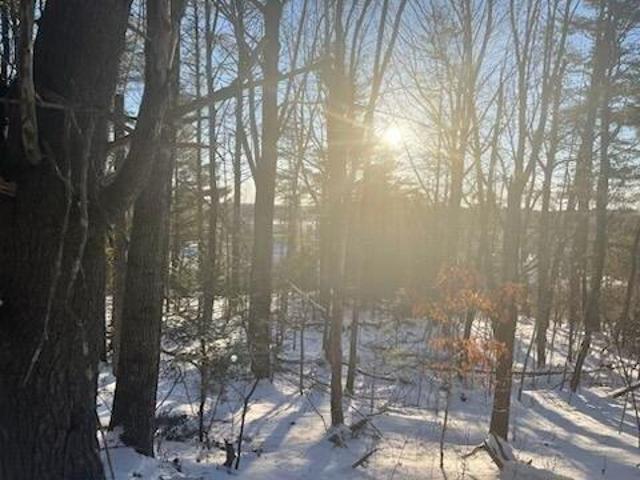 Land for sale in Bath, Maine