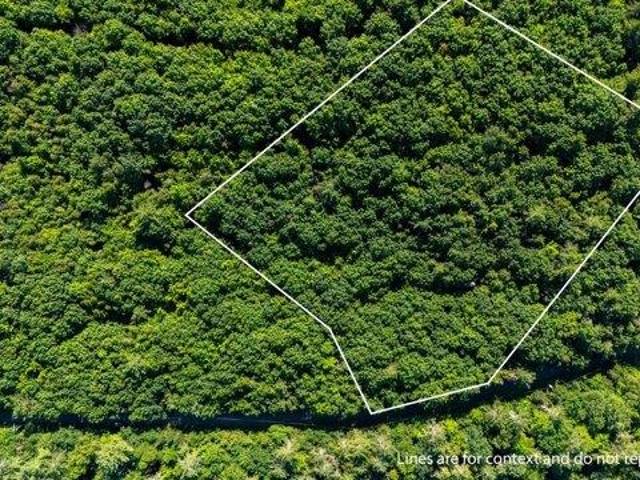 Land for sale in New Hampshire