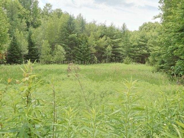 Land for sale in New Hampshire