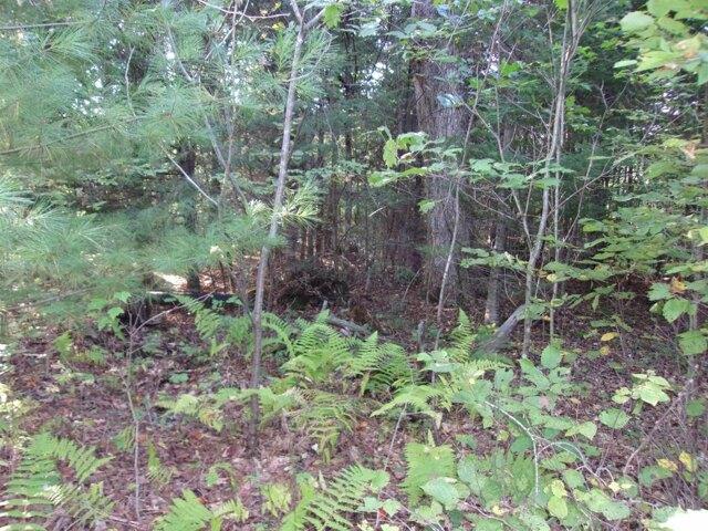 Land for sale in New Hampshire