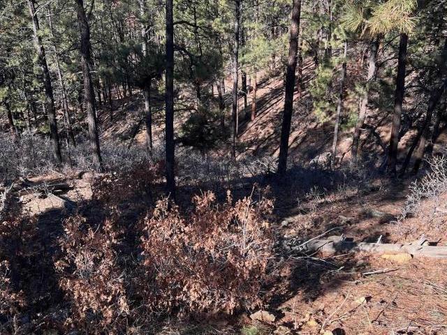 Land for sale in Bayfield