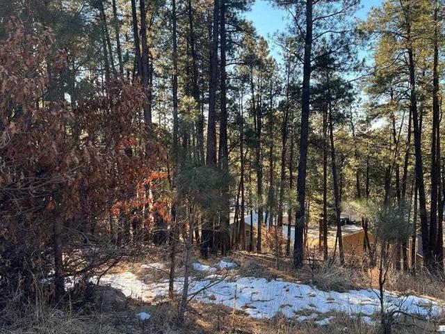 Land for sale in Bayfield