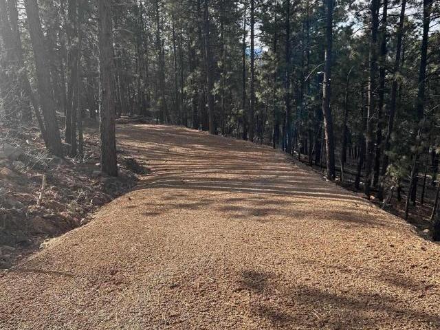 Land for sale in Bayfield