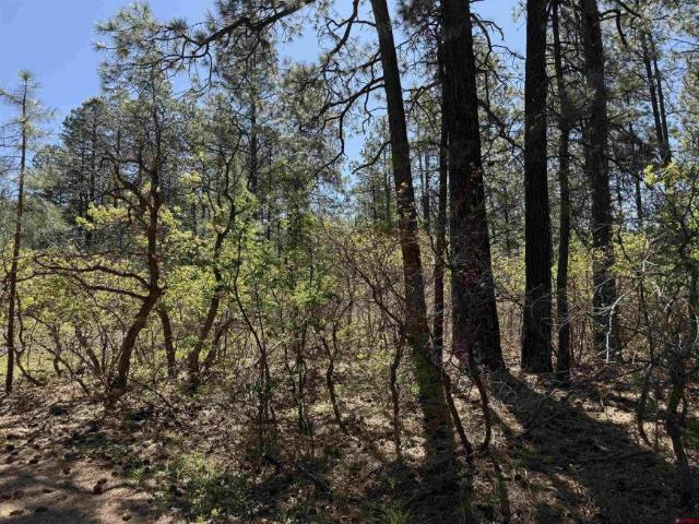 Land for sale in Bayfield