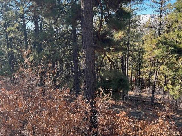 Land for sale in Bayfield