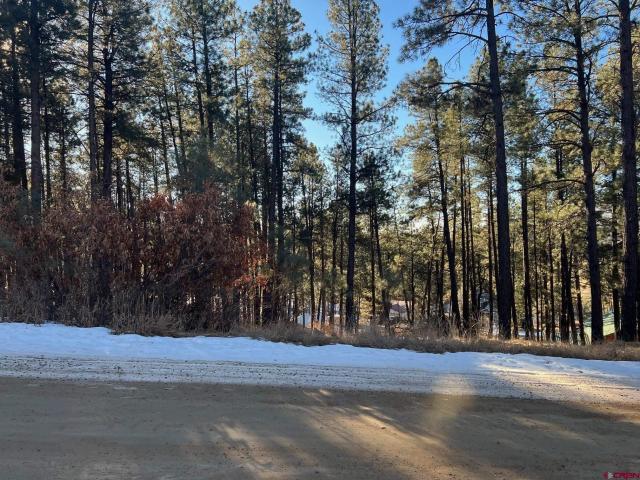 Land for sale in Bayfield