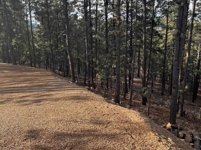 Land for sale in Bayfield