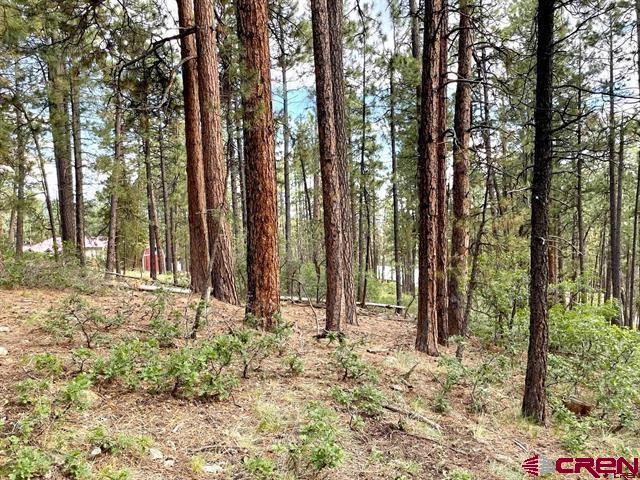 Land for sale in Bayfield