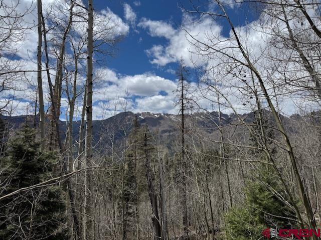 Land for sale in Bayfield