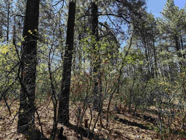 Land for sale in Bayfield