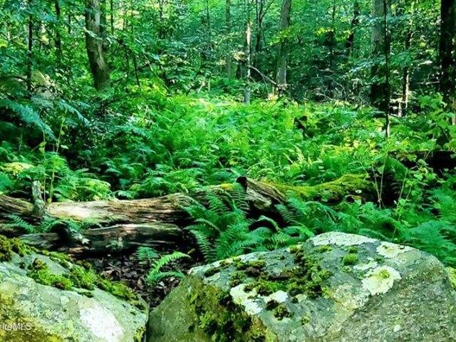 Land for sale in Berkshire, Massachusetts