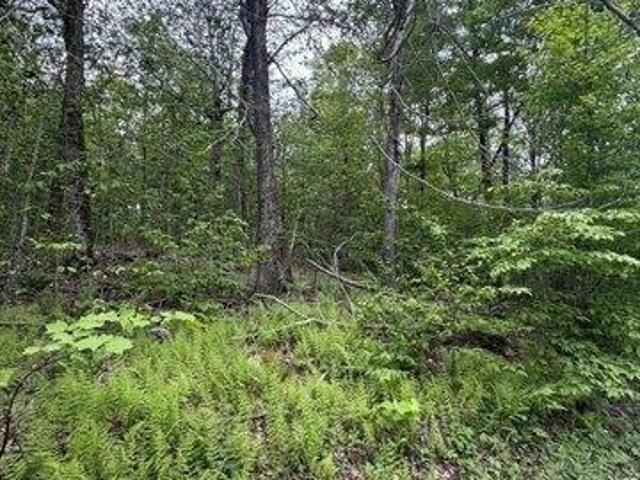 Land for sale in Berkshire, Massachusetts
