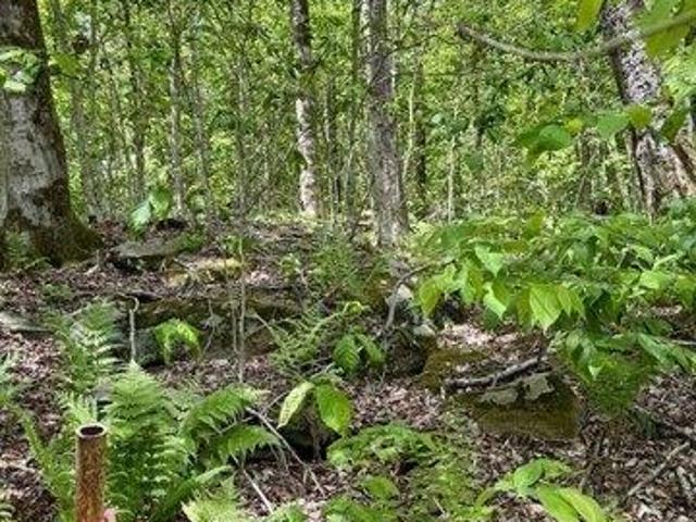 Land for sale in Berkshire, Massachusetts