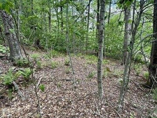 Land for sale in Berkshire, Massachusetts