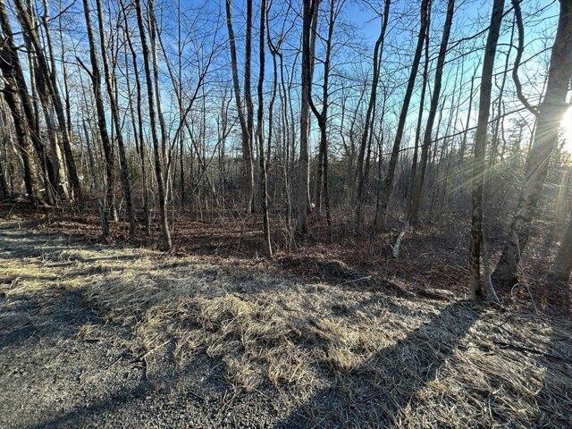 Land for sale in Berkshire, Massachusetts