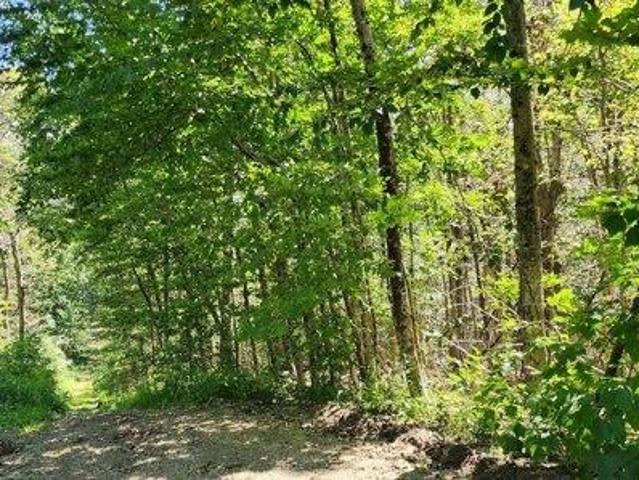 Land for sale in Becket, Berkshire County