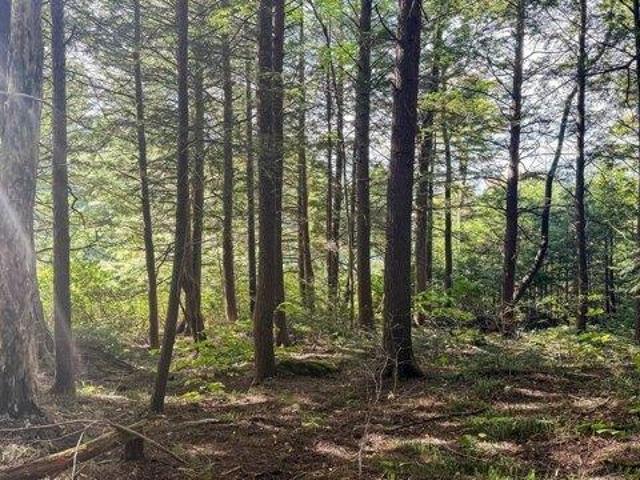Land for sale in Becket, Berkshire County