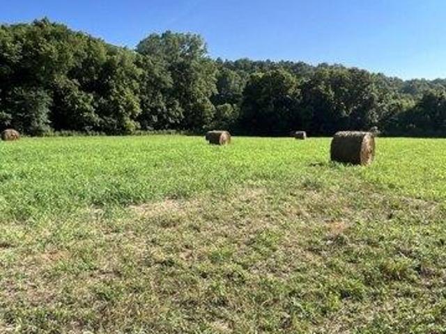 Land for sale in Trimble, Kentucky