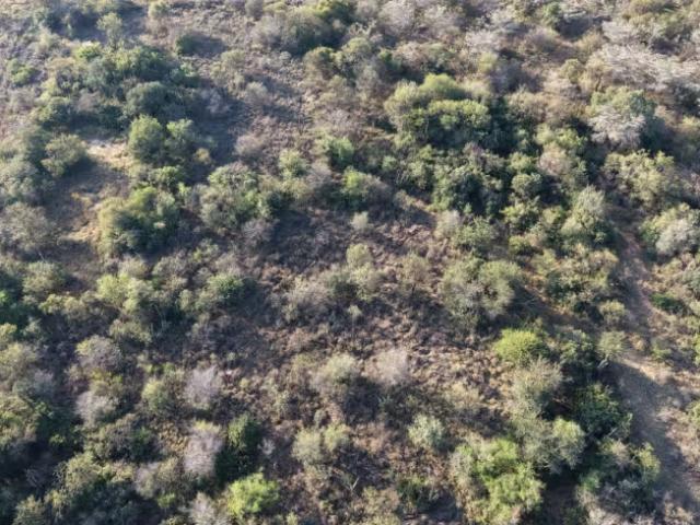 Land for sale in Belabela, Limpopo