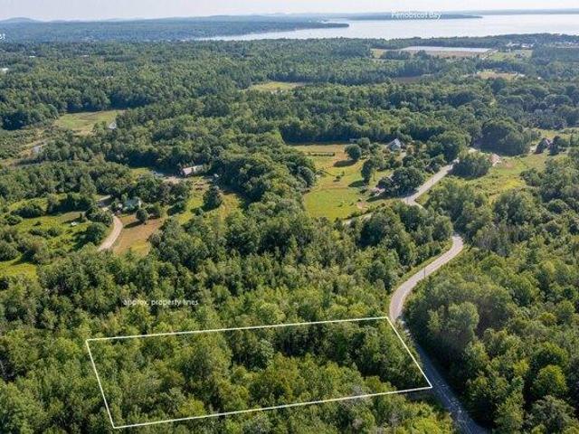 Land for sale in Waldo, Maine