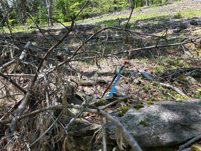 Land for sale in Waldo, Maine