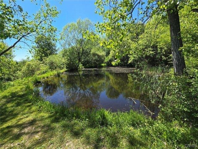 Land for sale in Belfast, New York