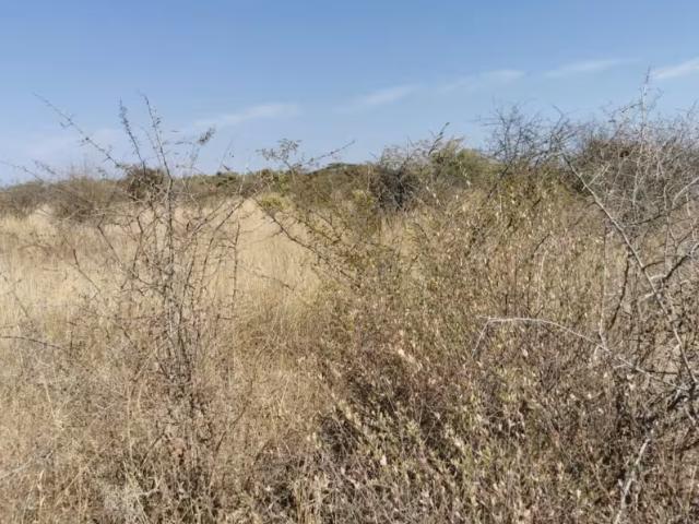 Land for sale in Seshego, Limpopo