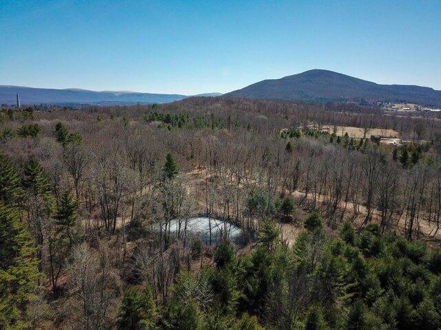Land for sale in Bennington, Vermont