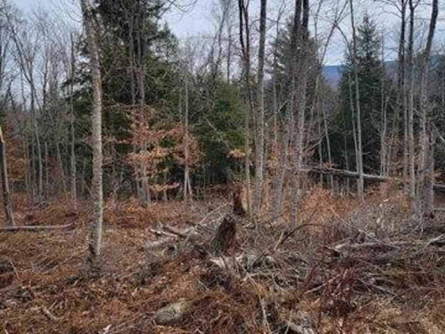 Land for sale in Bennington, Vermont