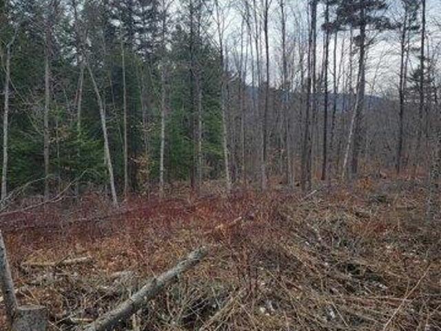 Land for sale in Bennington, Vermont