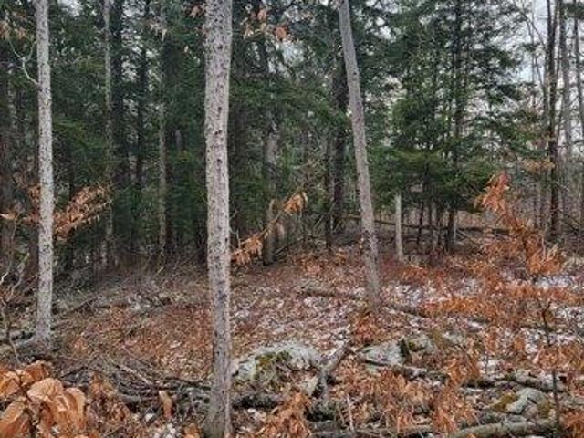 Land for sale in Bennington, Vermont
