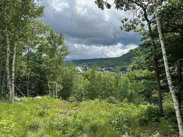 Land for sale in New Hampshire
